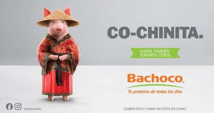imagen publicitario de la campaña co-chinita de Bachoco