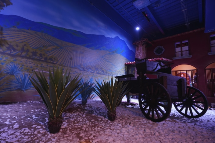 magueyes en la experiencia inmersiva Odisea México